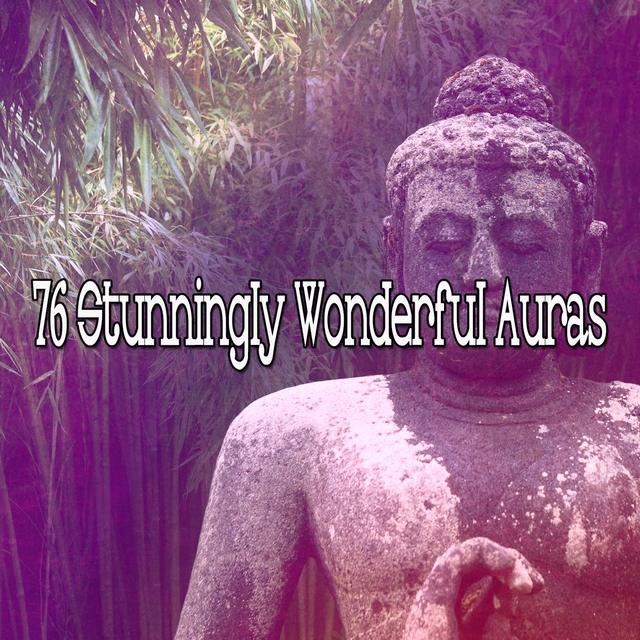 Couverture de 76 Stunningly Wonderful Auras