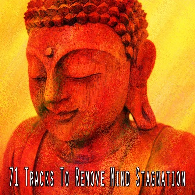 71 Tracks to Remove Mind Stagnation