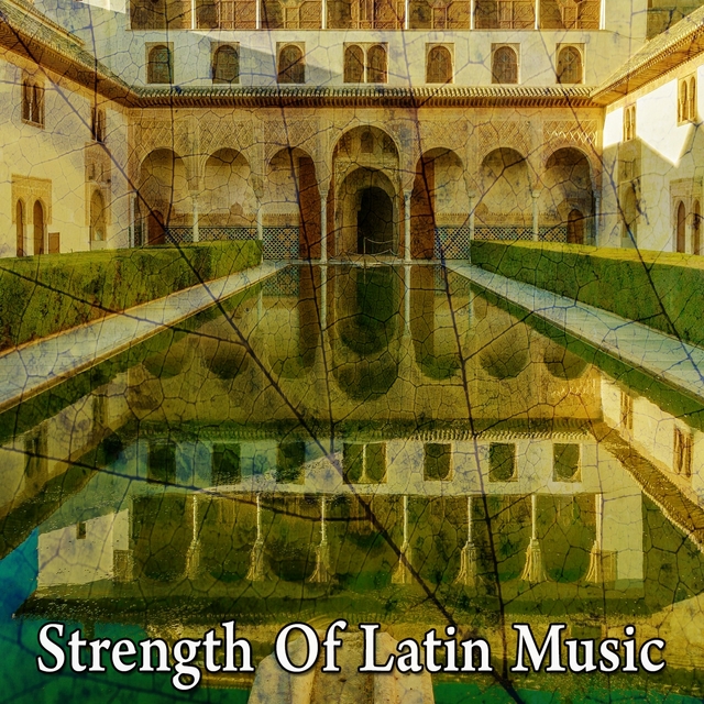 Couverture de Strength of Latin Music