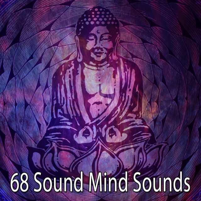 Couverture de 68 Sound Mind Sounds