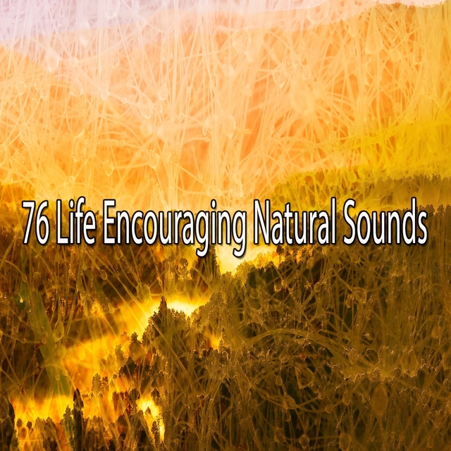 76 Life Encouraging Natural Sounds