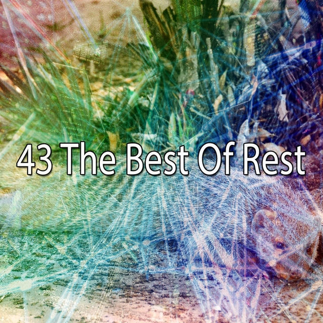 43 The Best of Rest