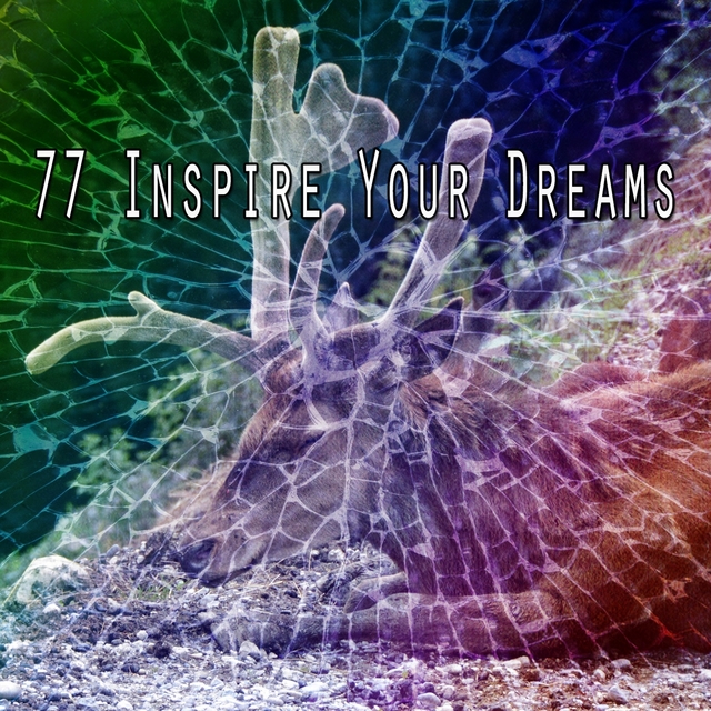 Couverture de 77 Inspire Your Dreams