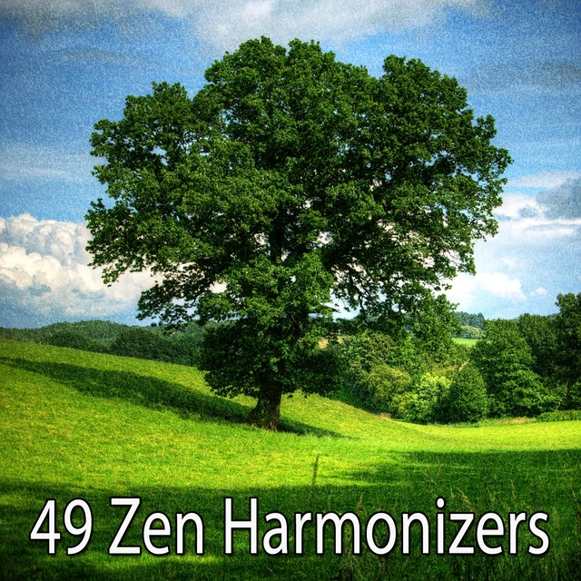 49 Zen Harmonizers