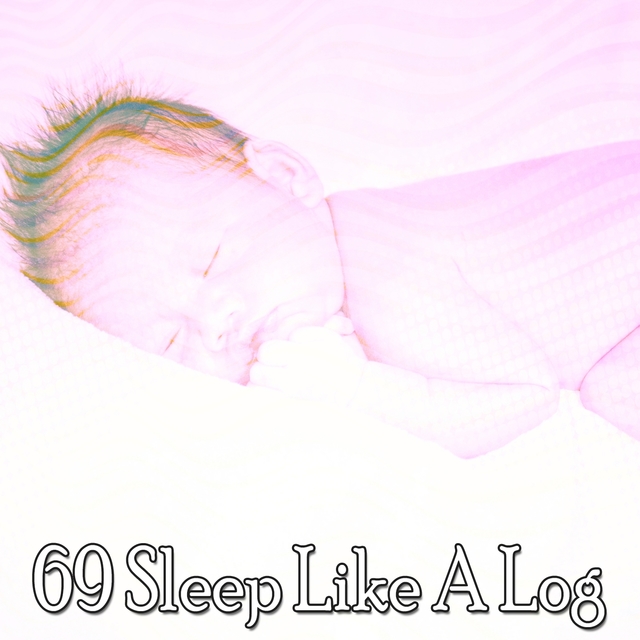 Couverture de 69 Sleep Like a Log