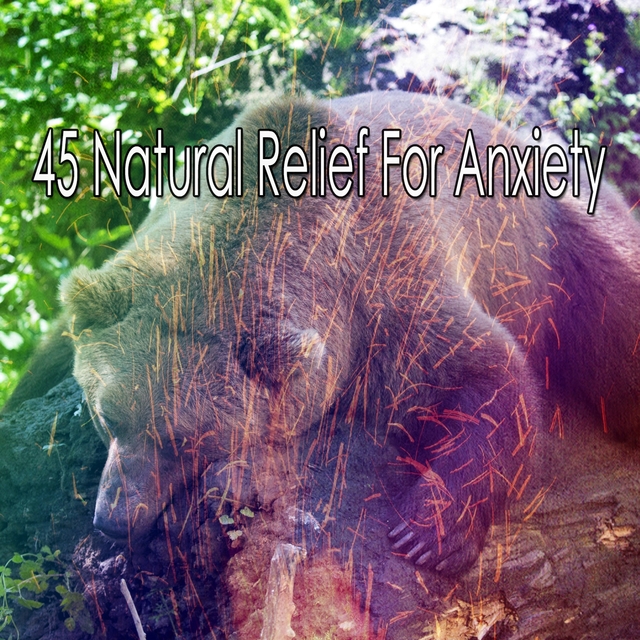 Couverture de 45 Natural Relief for Anxiety