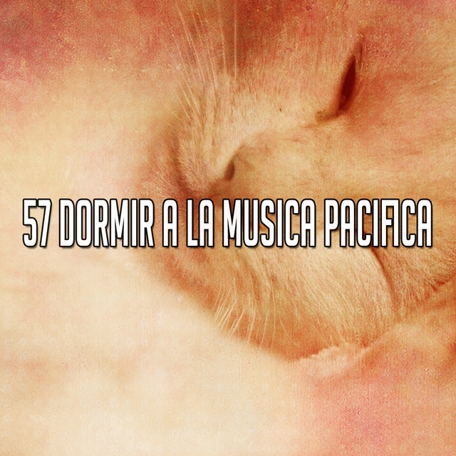 57 Dormir a La Musica Pacifica