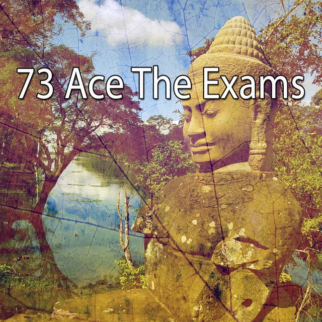73 Ace the Exams