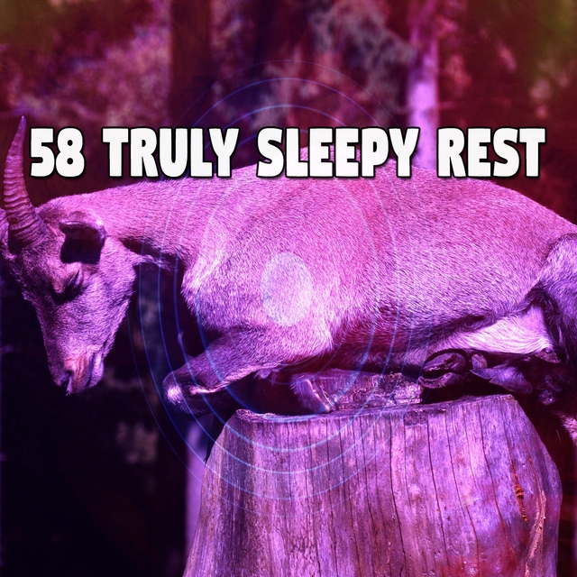 58 Truly Sleepy Rest