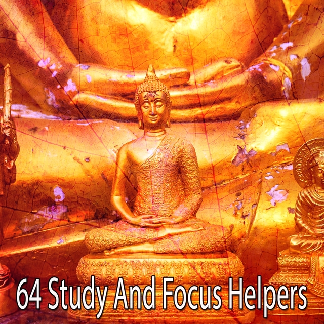 Couverture de 64 Study and Focus Helpers