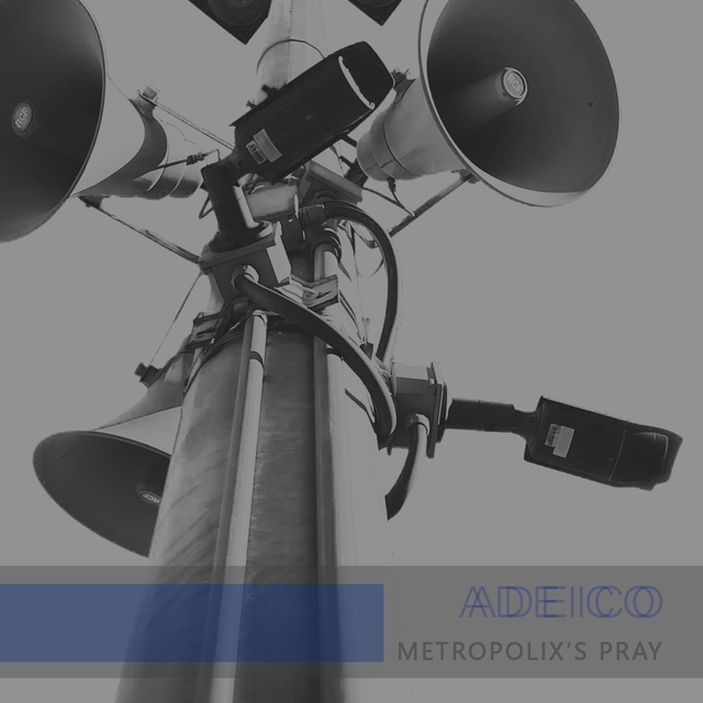 Couverture de Metropolix's Pray