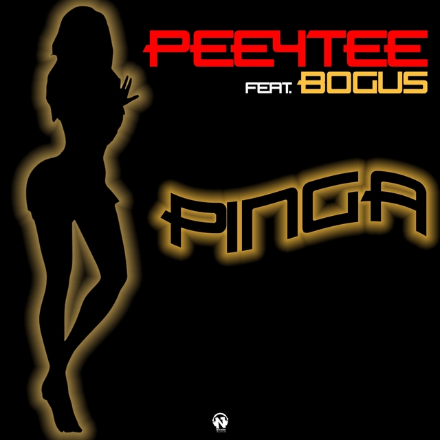 Couverture de Pinga