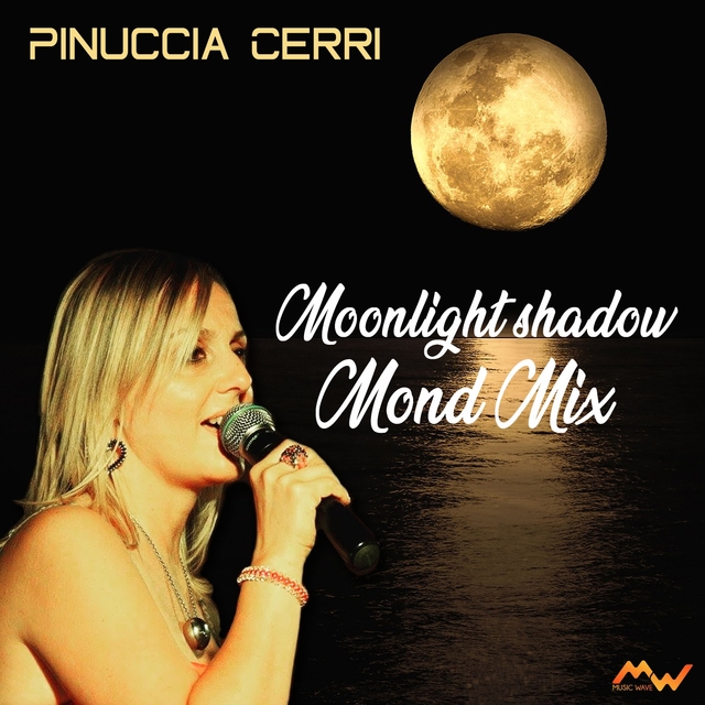 Couverture de Moonlight shadow / Mond mix