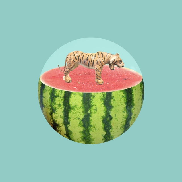 Tigermelon
