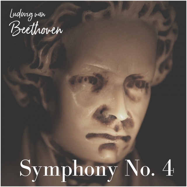 Couverture de Symphony no. 4