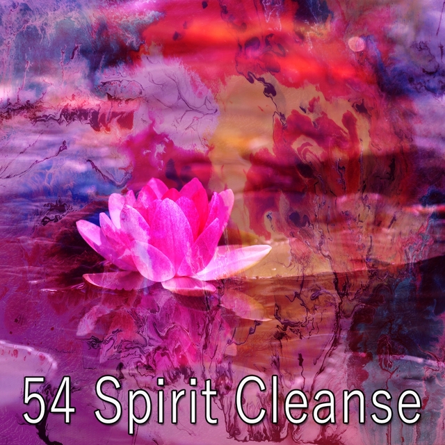 54 Spirit Cleanse