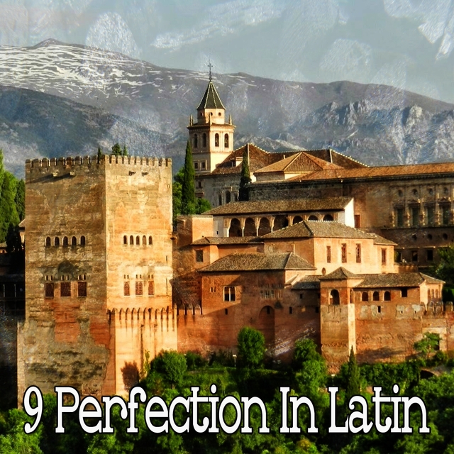 9 Perfection in Latin