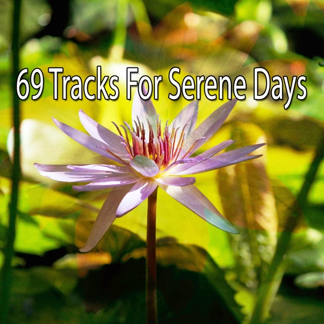 69 Tracks for Serene Days