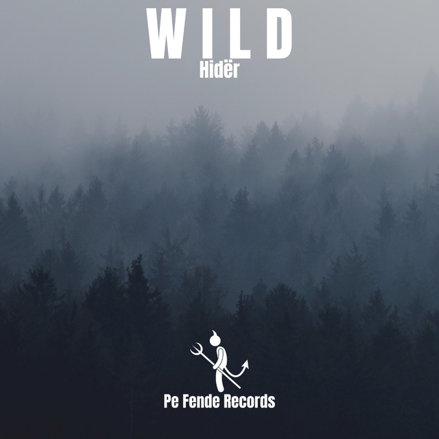 Couverture de Wild