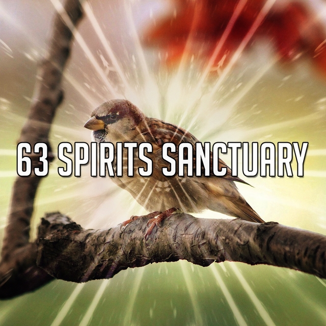 63 Spirits Sanctuary