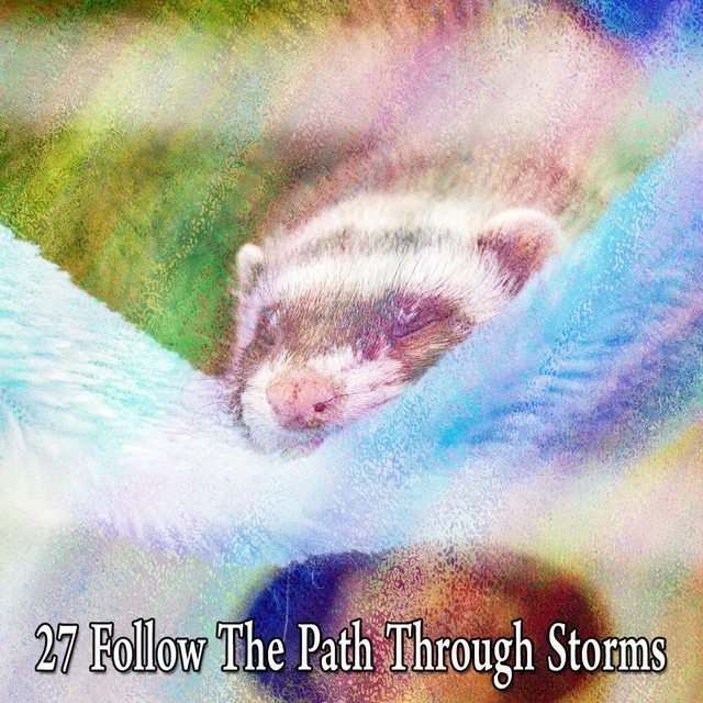 27 Follow the Path Through Storms