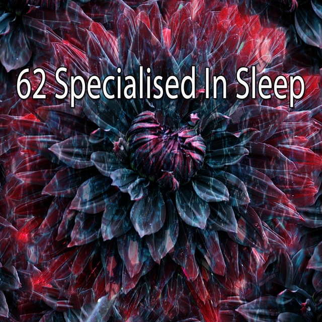 62 Specialised in Sle - EP