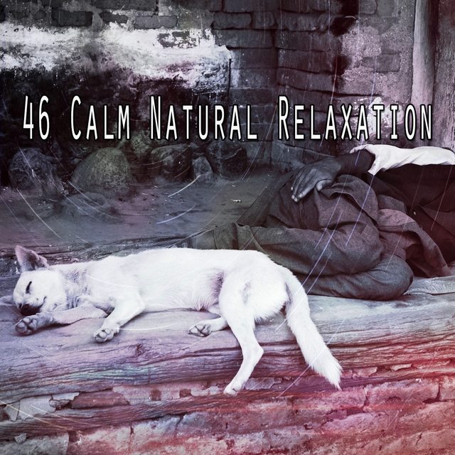 46 Calm Natural Relaxation