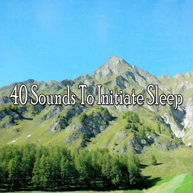 40 Sounds to Initiate Sle - EP