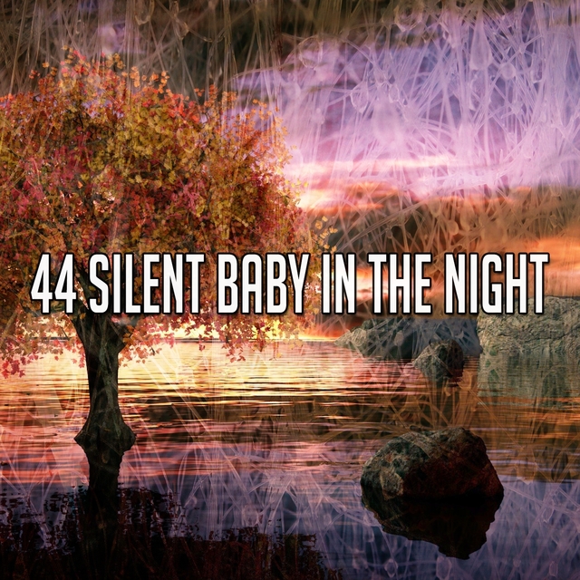 44 Silent Baby in the Night