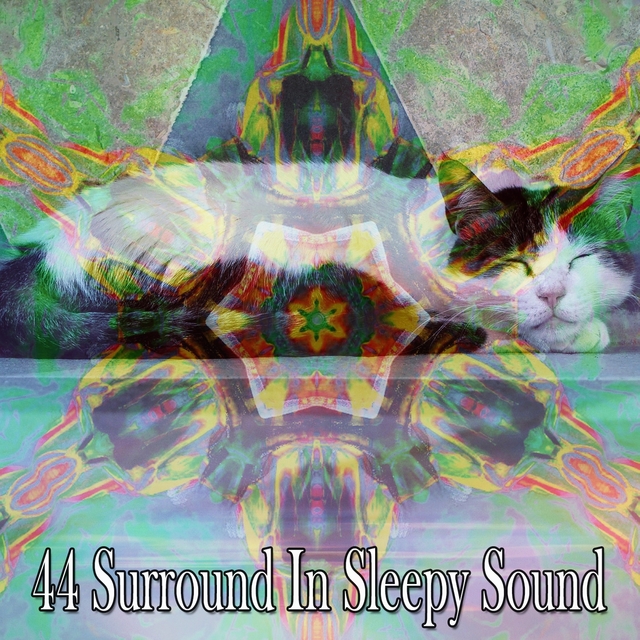 44 Surround in Sleepy Sound