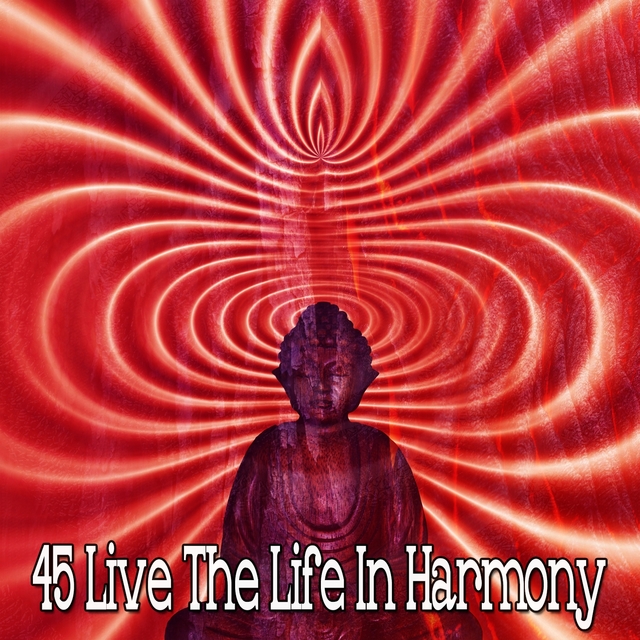 45 Live the Life In Harmony