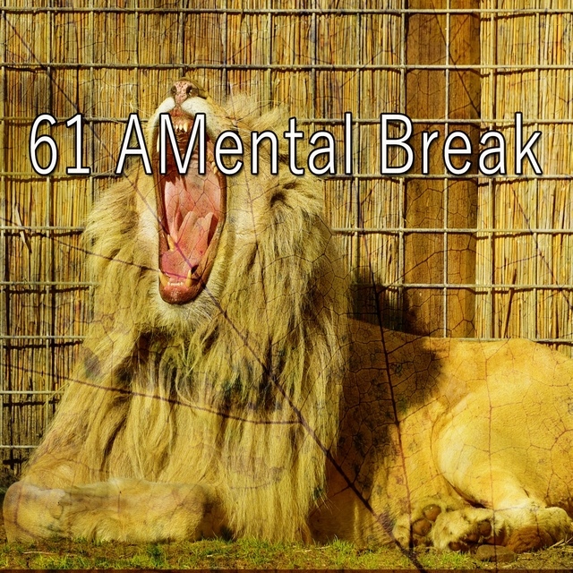 61 A Mental Break