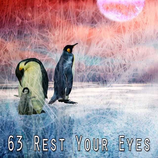 63 Rest Your Eyes