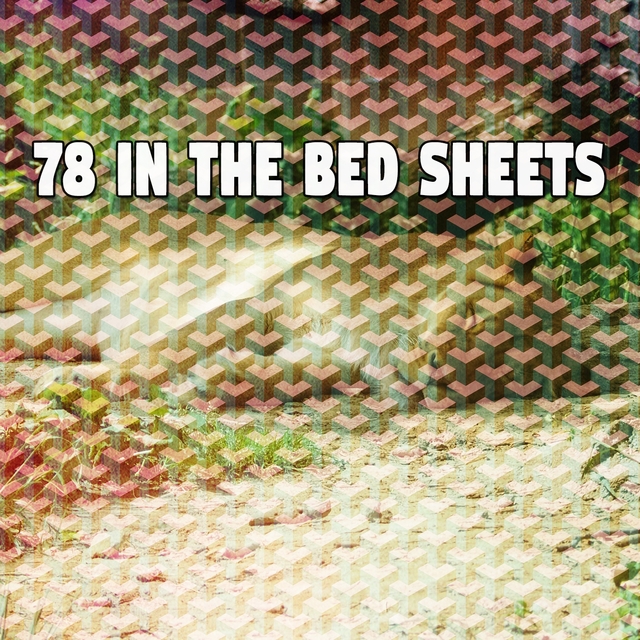 78 In the Bed Sheets