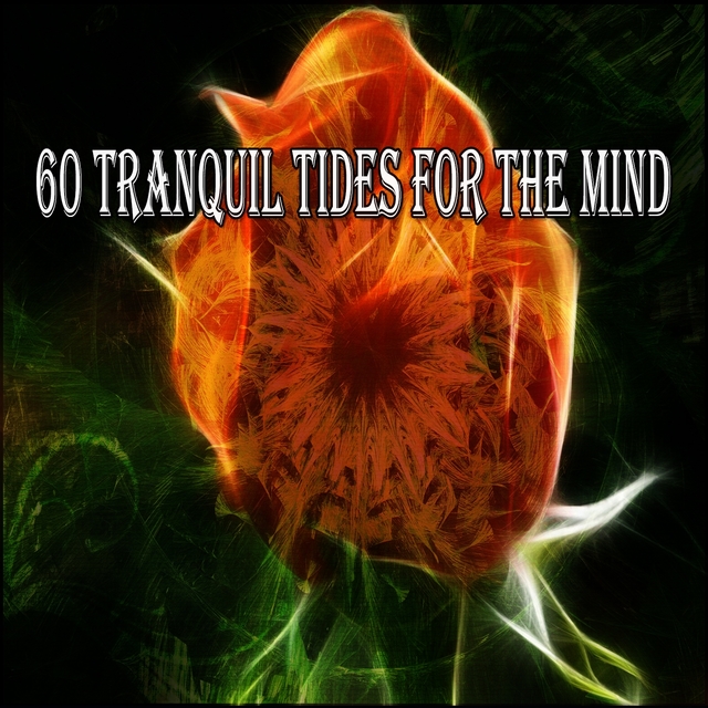 60 Tranquil Tides for the Mind