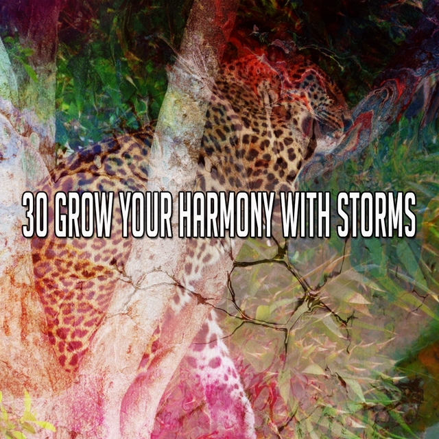 30 Grow Your Harmony with Storms