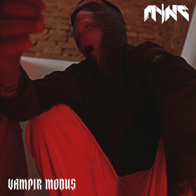 Couverture de Vampir Modus