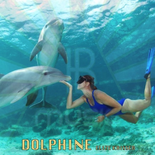 Couverture de Dolphine