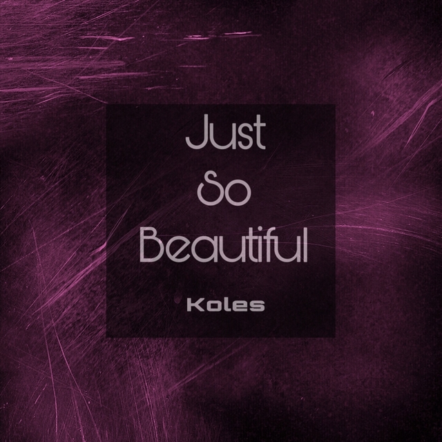 Couverture de Just so Beautiful