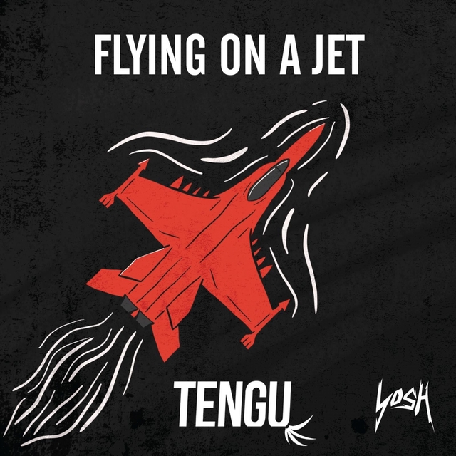 Couverture de Flying on a Jet