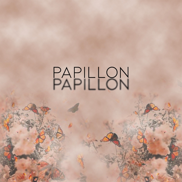 Couverture de Papillon