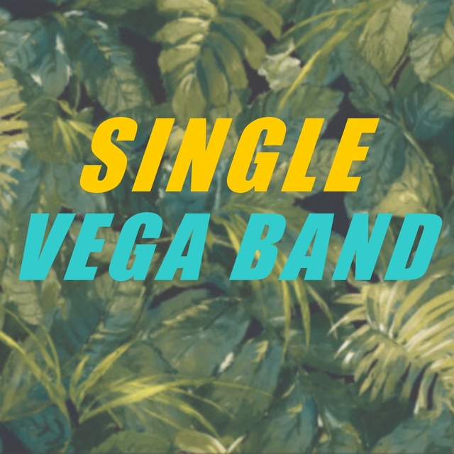 Couverture de Single vega band