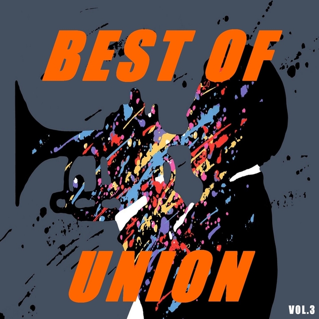 Couverture de Best of union