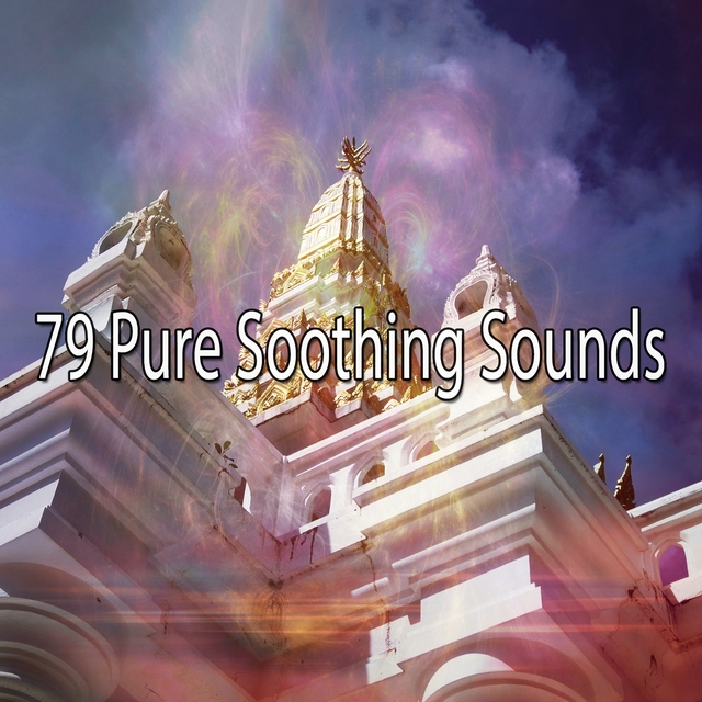 Couverture de 79 Pure Soothing Sounds