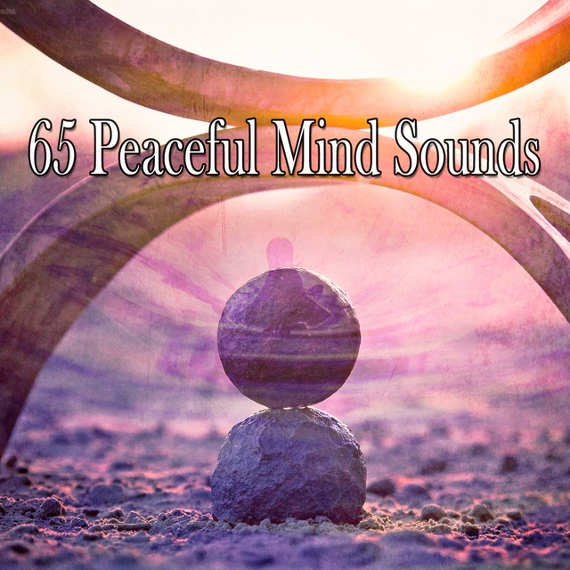 Couverture de 65 Peaceful Mind Sounds