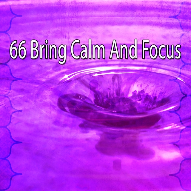 66 Bring Calm and Focus