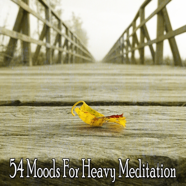 Couverture de 54 Moods for Heavy Meditation