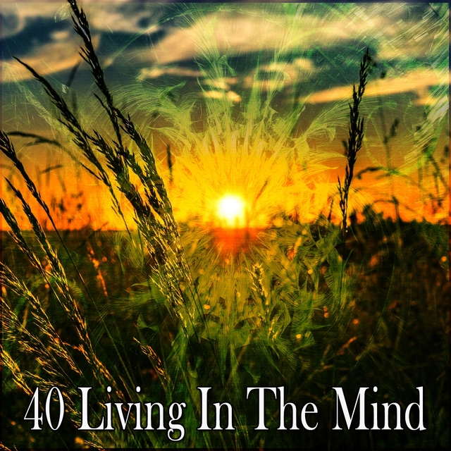 Couverture de 40 Living In the Mind