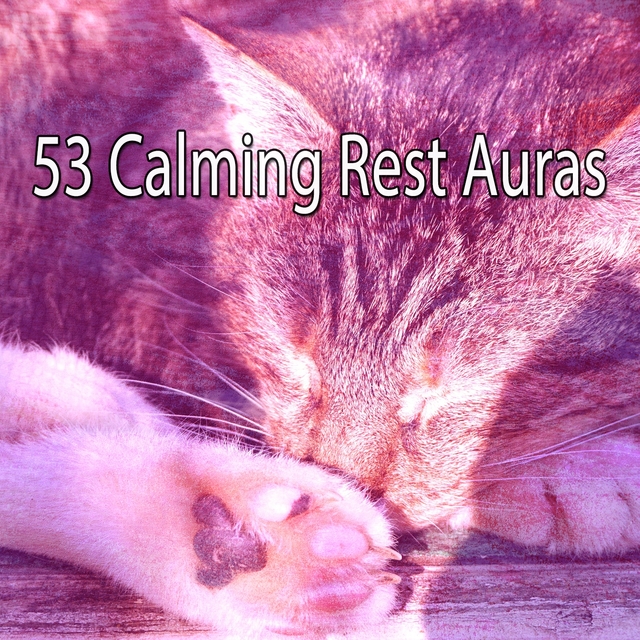 53 Calming Rest Auras