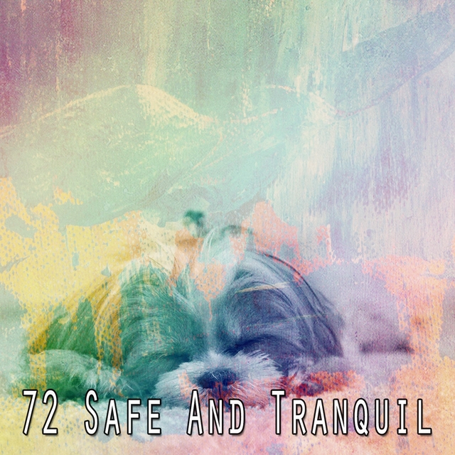 72 Safe and Tranquil